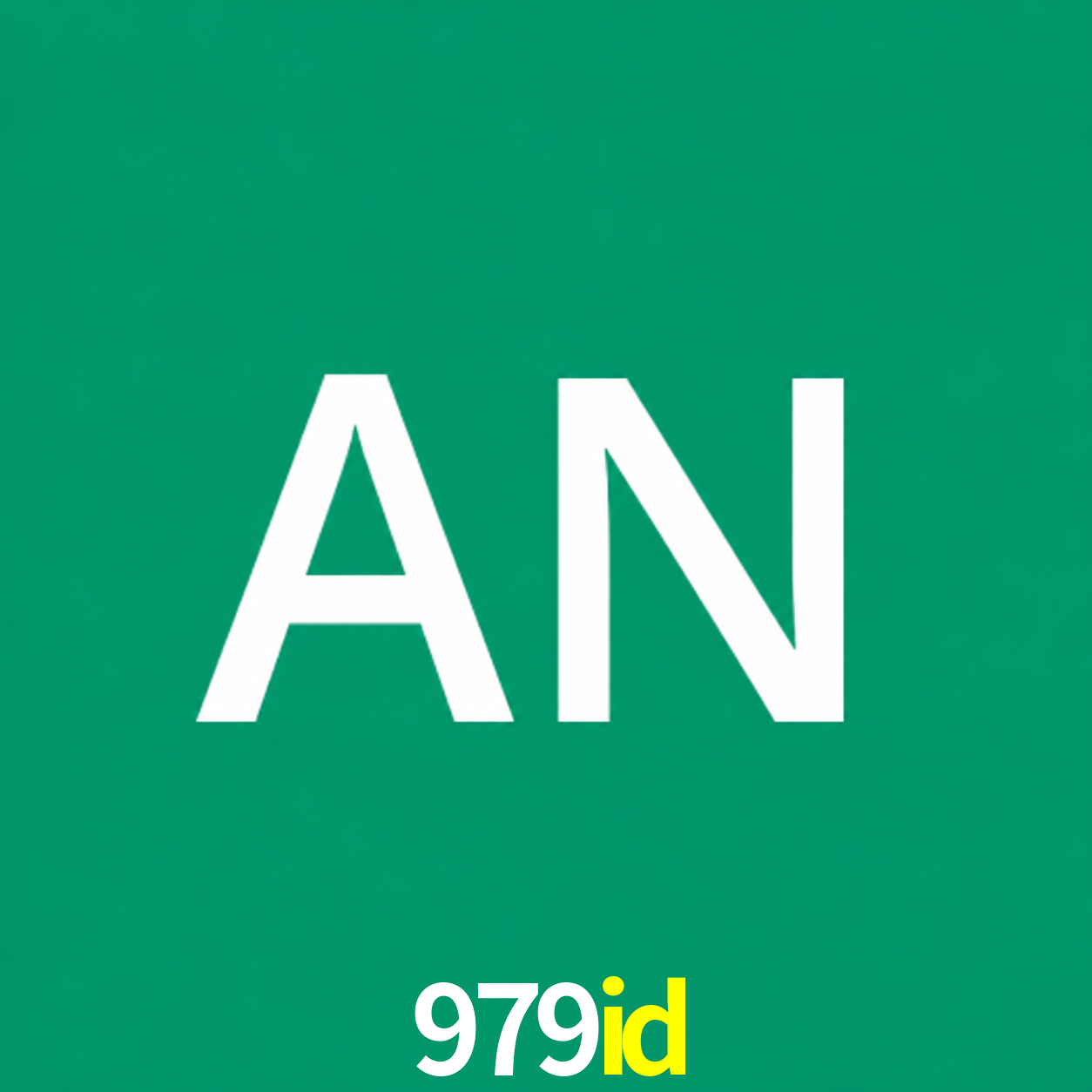 Adi Nugroho - Founder & CEO 979id Indonesia